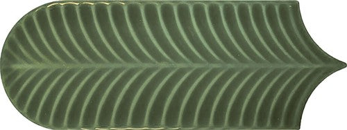 Alma Scale Green Brillo 8X21.5