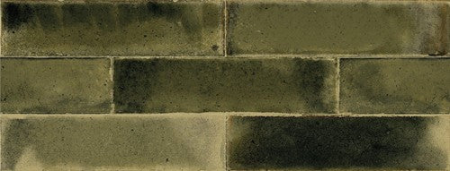 Jazba Olive Brillo 6x24,6