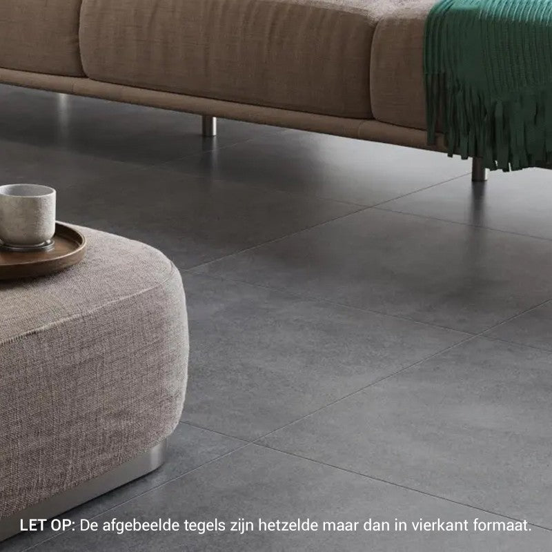 RAK PALEO ANTRACIET Vloertegel 30×60 cm (doosinhoud 1.08 m2)3