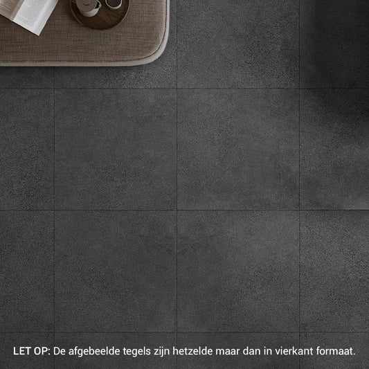 RAK PALEO ANTRACIET Vloertegel 60×120 cm (doosinhoud 1.44 m2)2