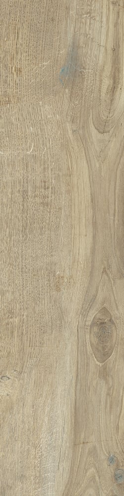 Vloertegel Castelvetro Woodland ELM 20x80 cm (doosinhoud 0.96 m2) 1e keus kwaliteit