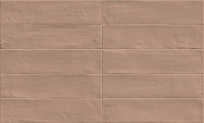 Harlem Biscotti 6x25