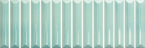 Hashi Tulipano 10x30