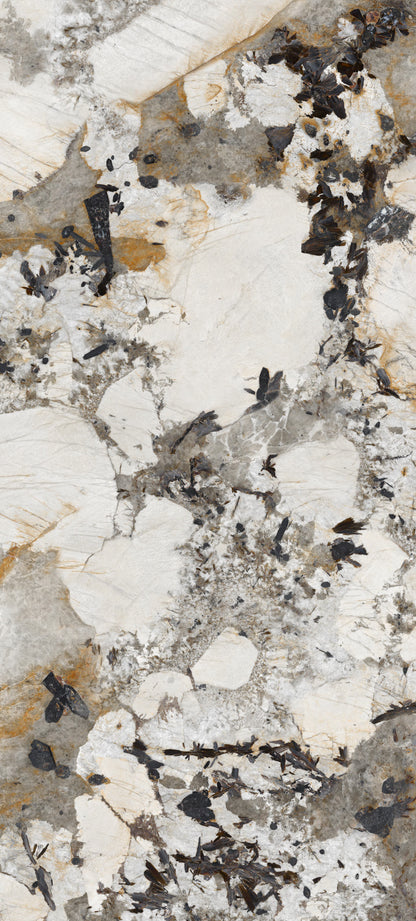 Energieker Patagonia Lev. 60X120 148795