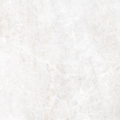 Energieker Taj Mahal Shell Mat. 120X120