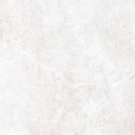 Energieker Taj Mahal Shell Mat. 120X120
