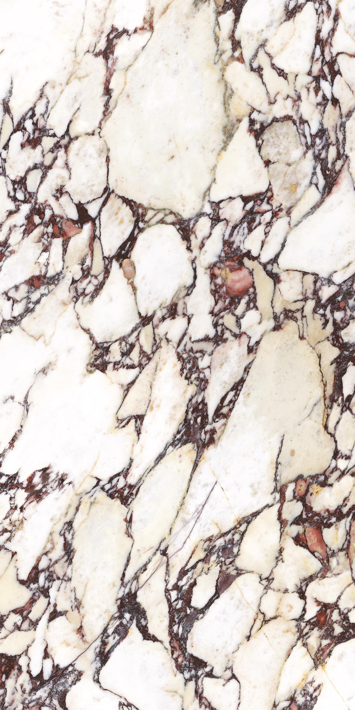 Energieker Calacatta Viola Lev. 60X120 150910